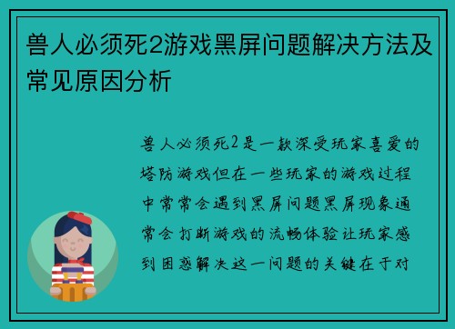 兽人必须死2游戏黑屏问题解决方法及常见原因分析